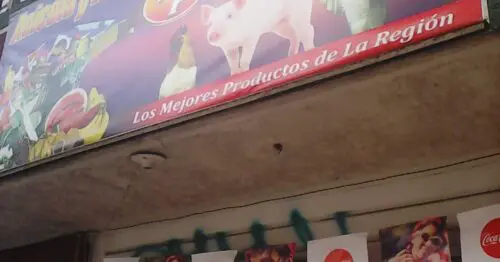 AVICOLA Y VARIEDADES EL PORVENIR AVICOLA Y VARIEDADES EL PORVENIR